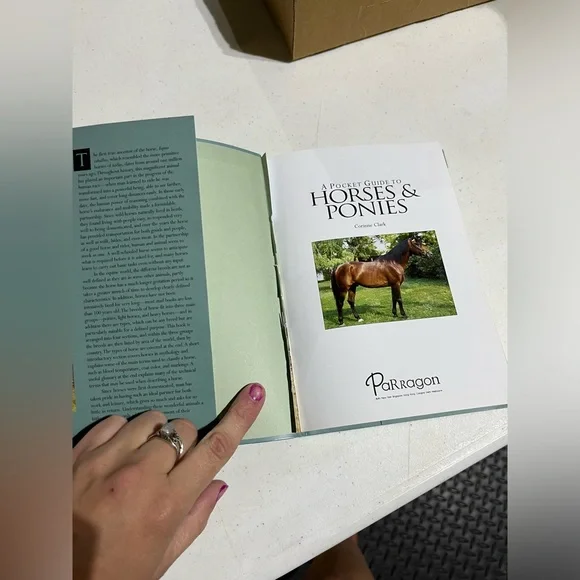 HORSE BOOK - Picture 2 of 4